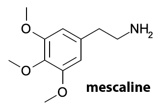 Мескалин. Мескалин порошок. Мескалин наркотик. Антидот для мескалина. Содержат мескалин растения.