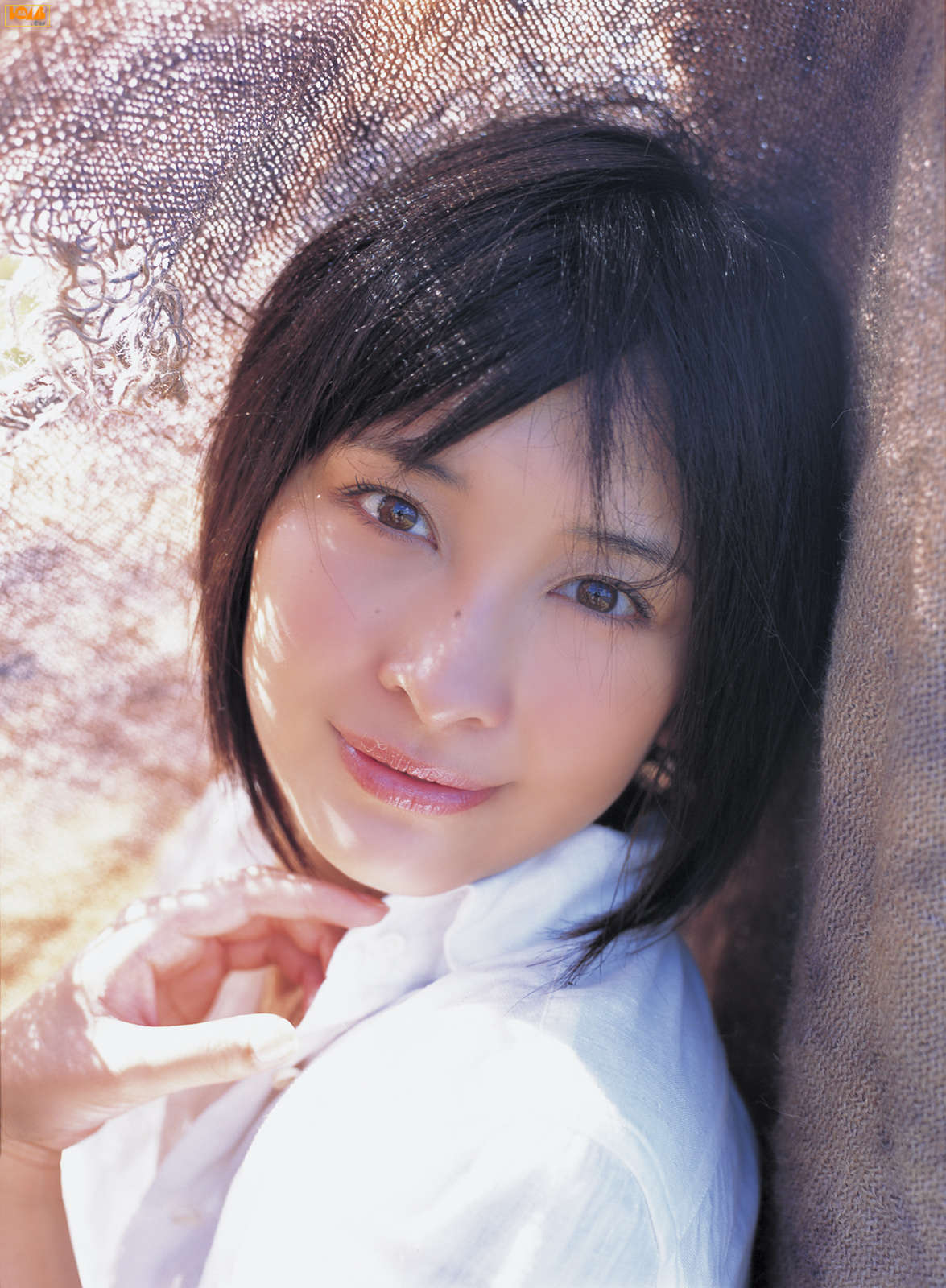 [Image: 827a5ebecc4bc439fe0f0.jpg]