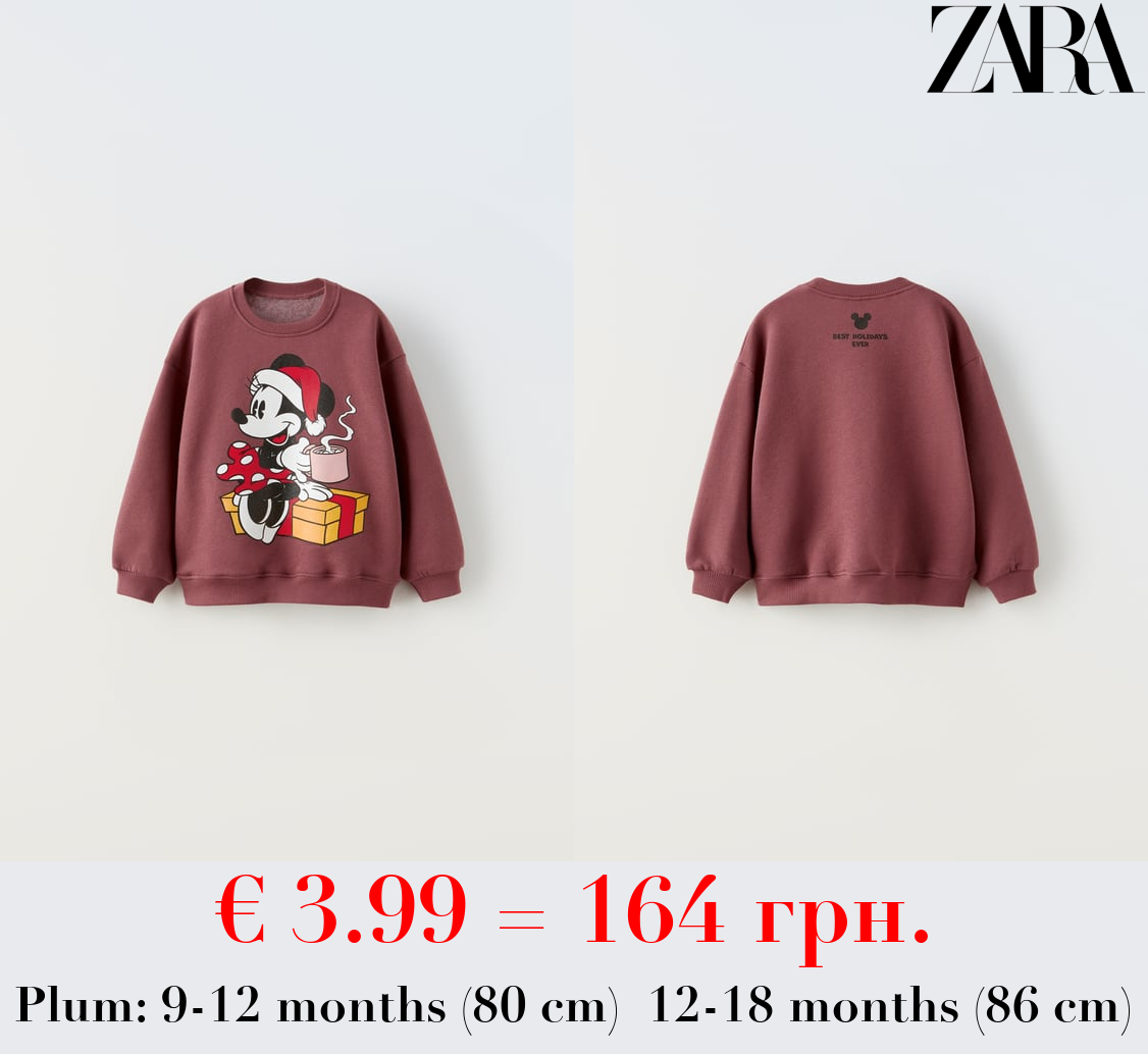 MINNIE MOUSE AND FRIENDS © DISNEY SWEATSHIRT