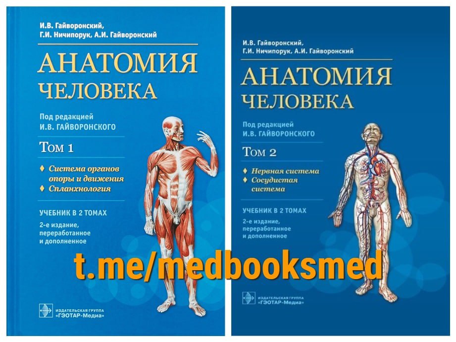 Гайворонский учебник. Гайворонский анатомия 1 том. Анатомия Гайворонский 2 том. Анатомия человека книга Гайворонский.