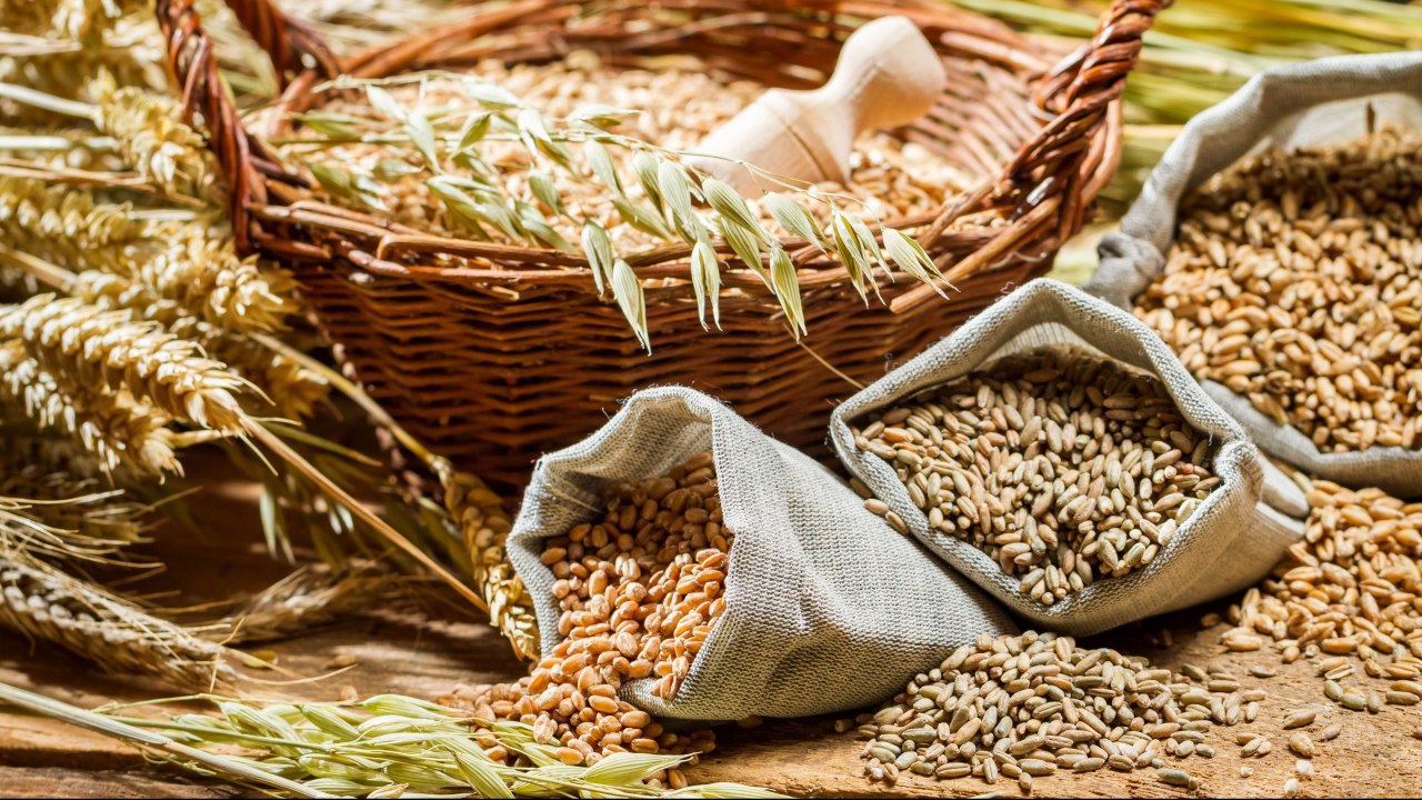 Минсельхоз может получить право продавать зерно из госфонда без распоряжения кабмина