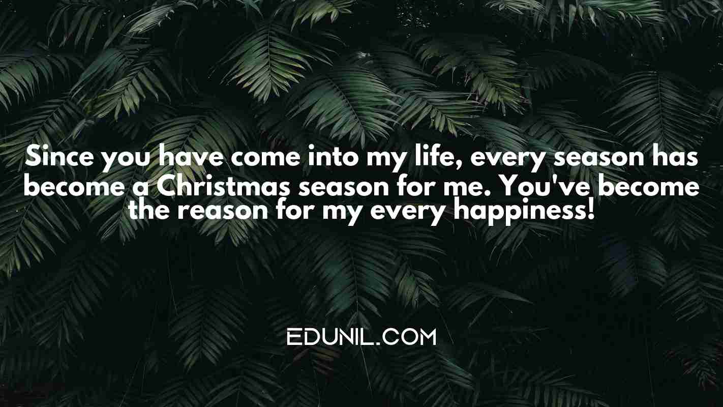 Since you have come into my life, every season has become a Christmas season for me. You've become the reason for my every happiness! - 
