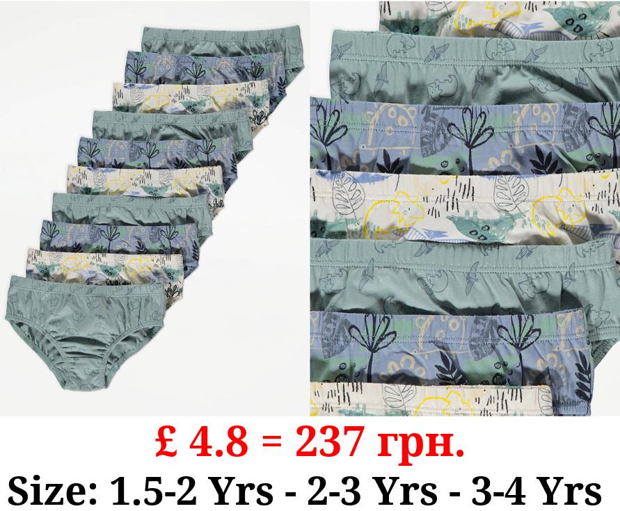 Sage Green Dinosaur Briefs 10 Pack