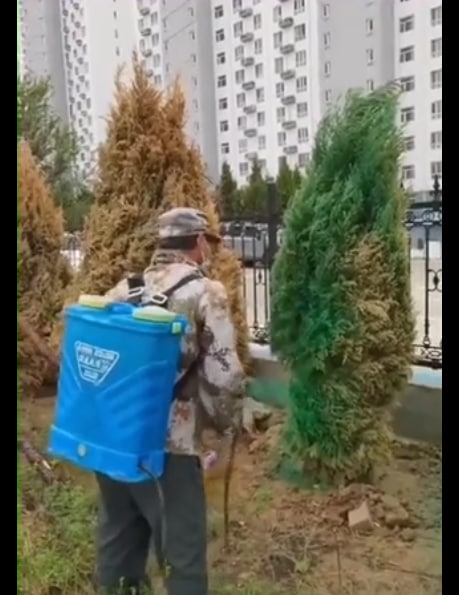 https://telegra.ph/file/849a4cc1ea017b29d2cc3.jpg