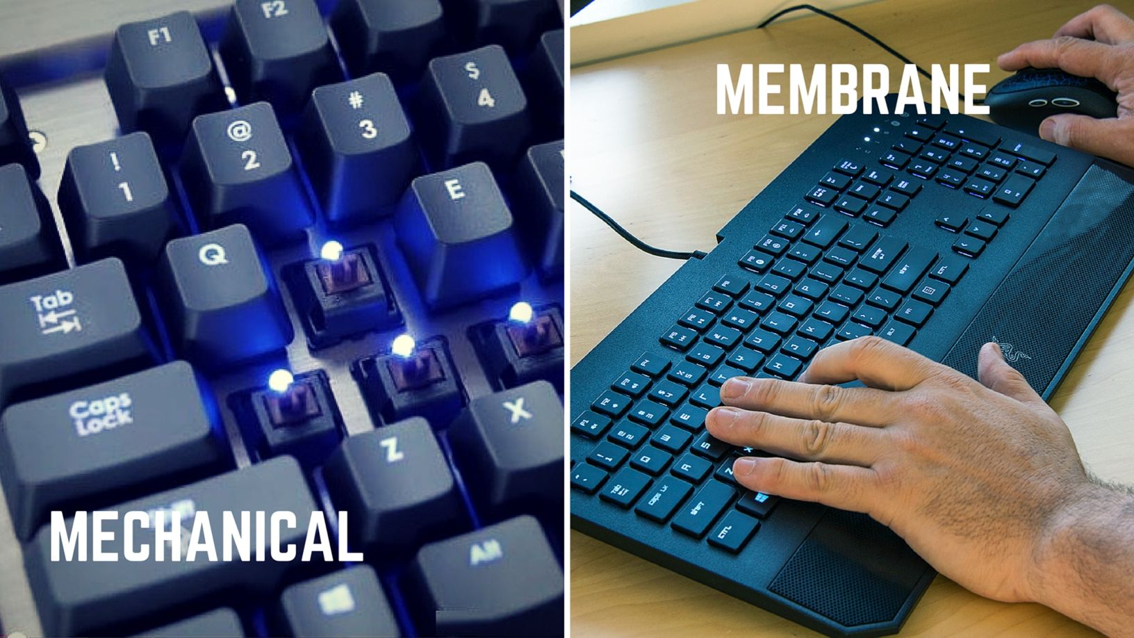 Did you know what's the difference between Membrane Keyboard Mechanical