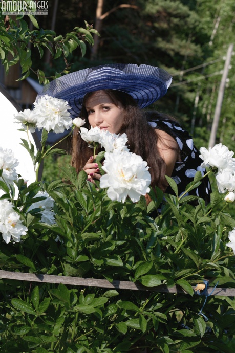[Image: 8501cc4eb6b0b07395f7e.jpg]