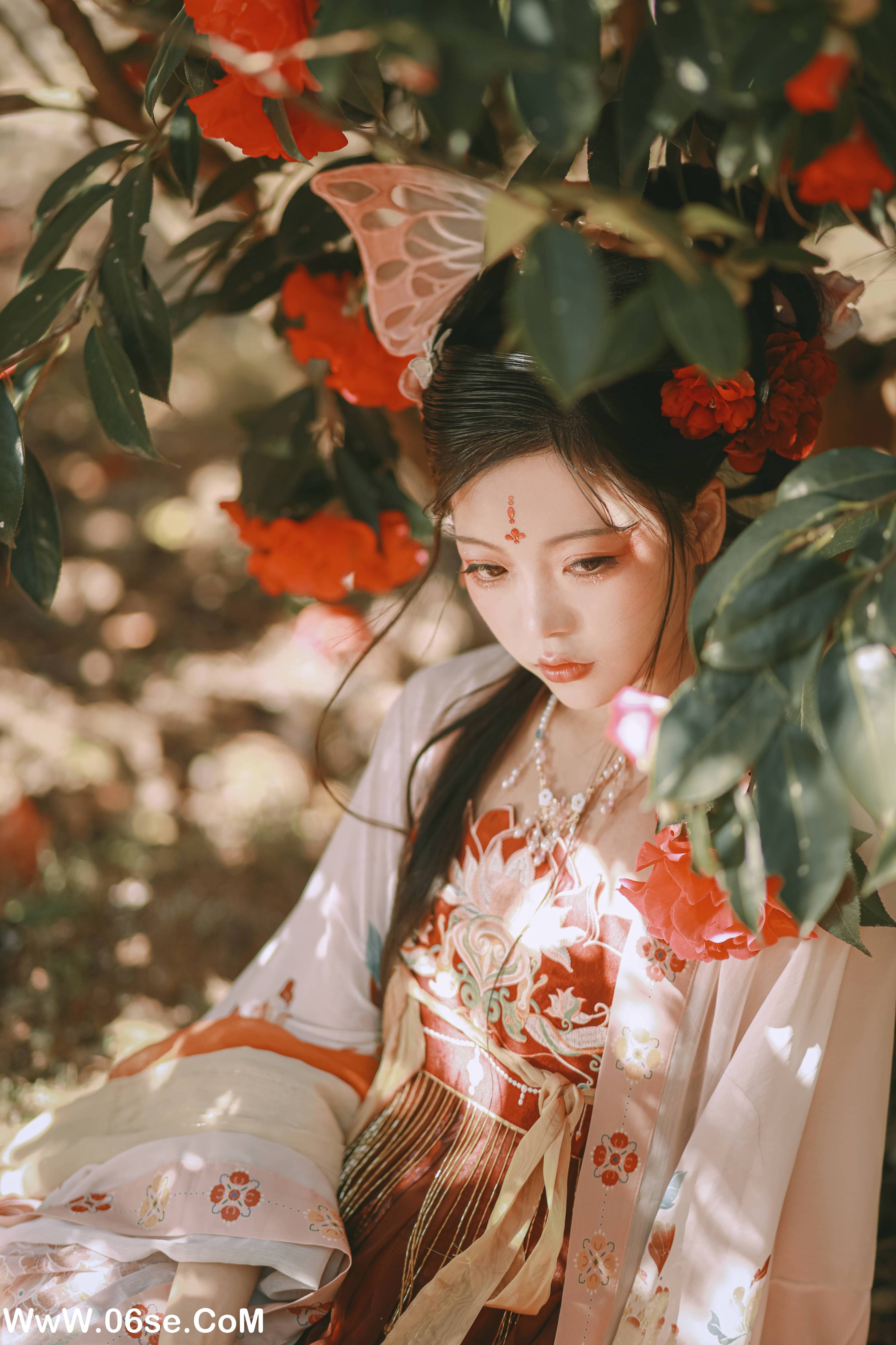 图片[6]-[YITUYU艺图语]2022.06.26 山茶花神 芍药_Y[42P-469M]-六色网