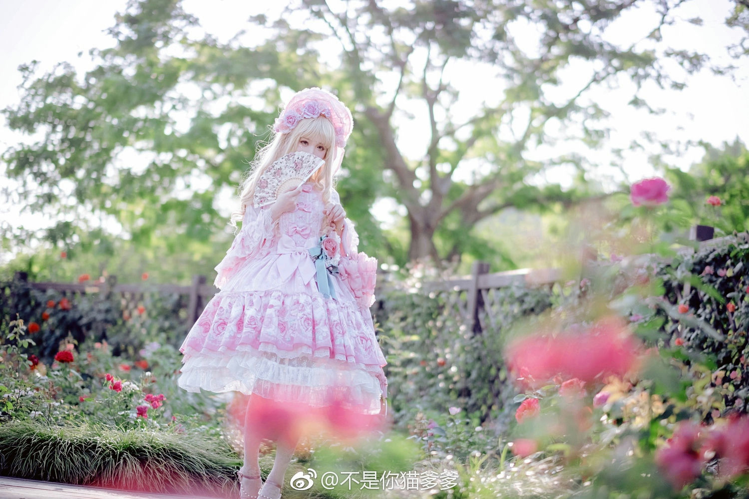 图片[135]-010 迷失幻境系列 – 第010期（洛丽塔lolita小裙子） [148P-356.38 MB]-六色网