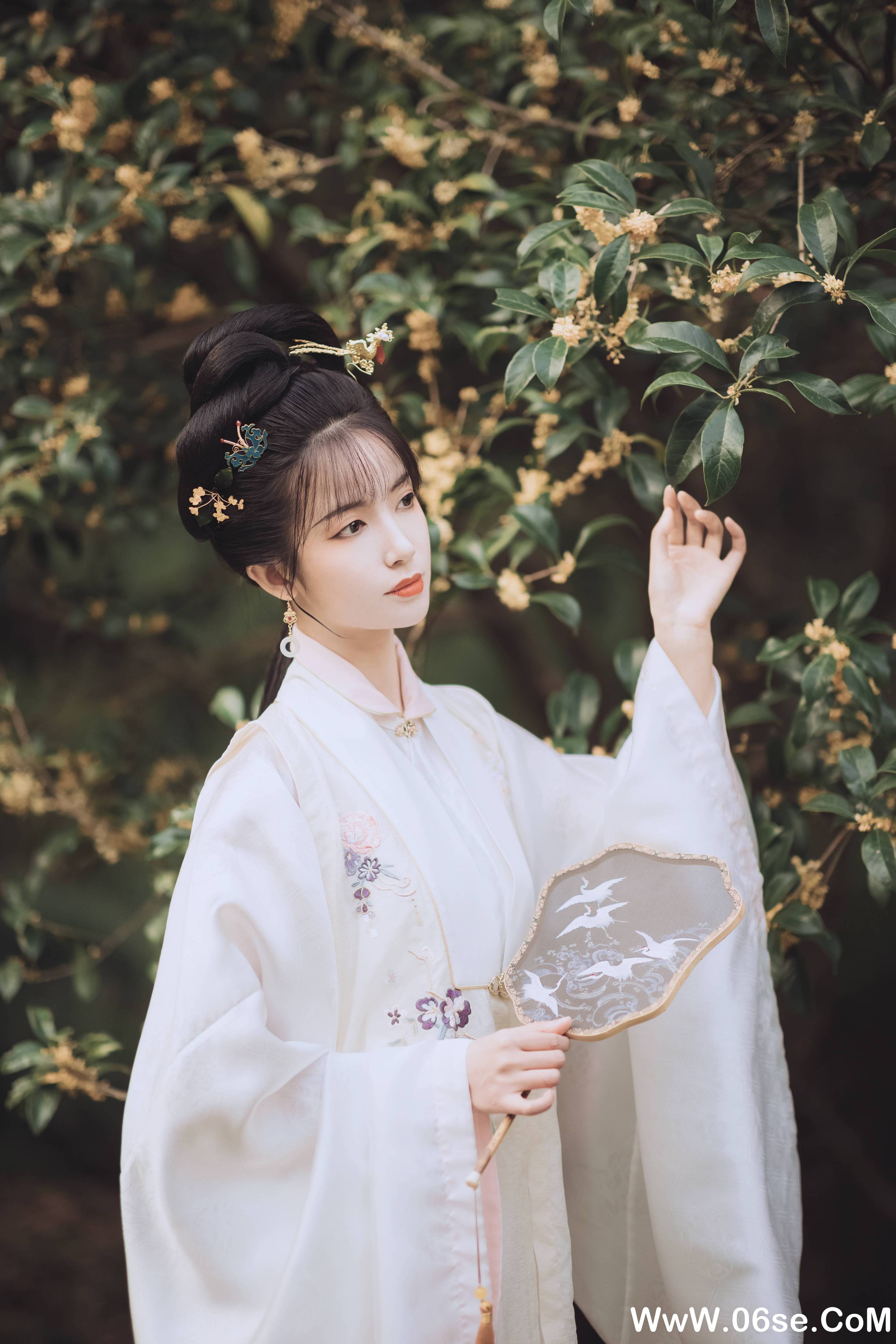 图片[9]-[YITUYU艺图语]2021.11.22 桂花酿 一只阿梦崽[35+1P／307MB]-六色网