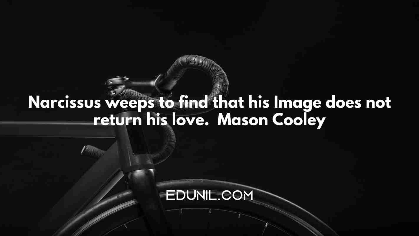 Narcissus weeps to find that his Image does not return his love. — Mason Cooley -  