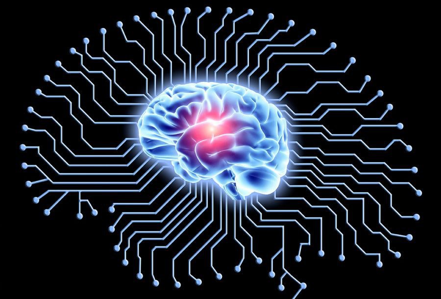 Ai life. Electron Brain. Circuit Shape.