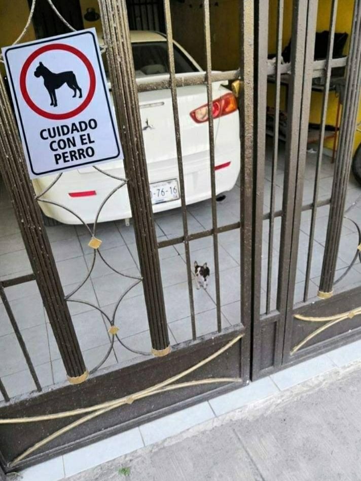 Cuidado con el perro