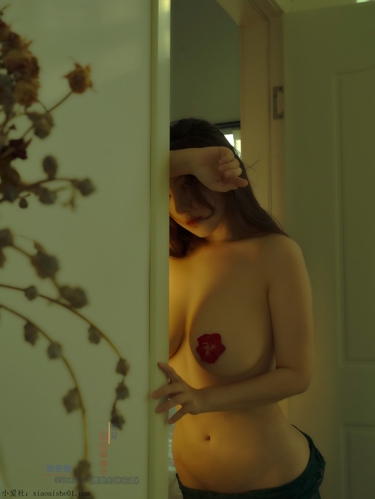 Cosplay 樱晚gigi 翡瑟 春.染 7