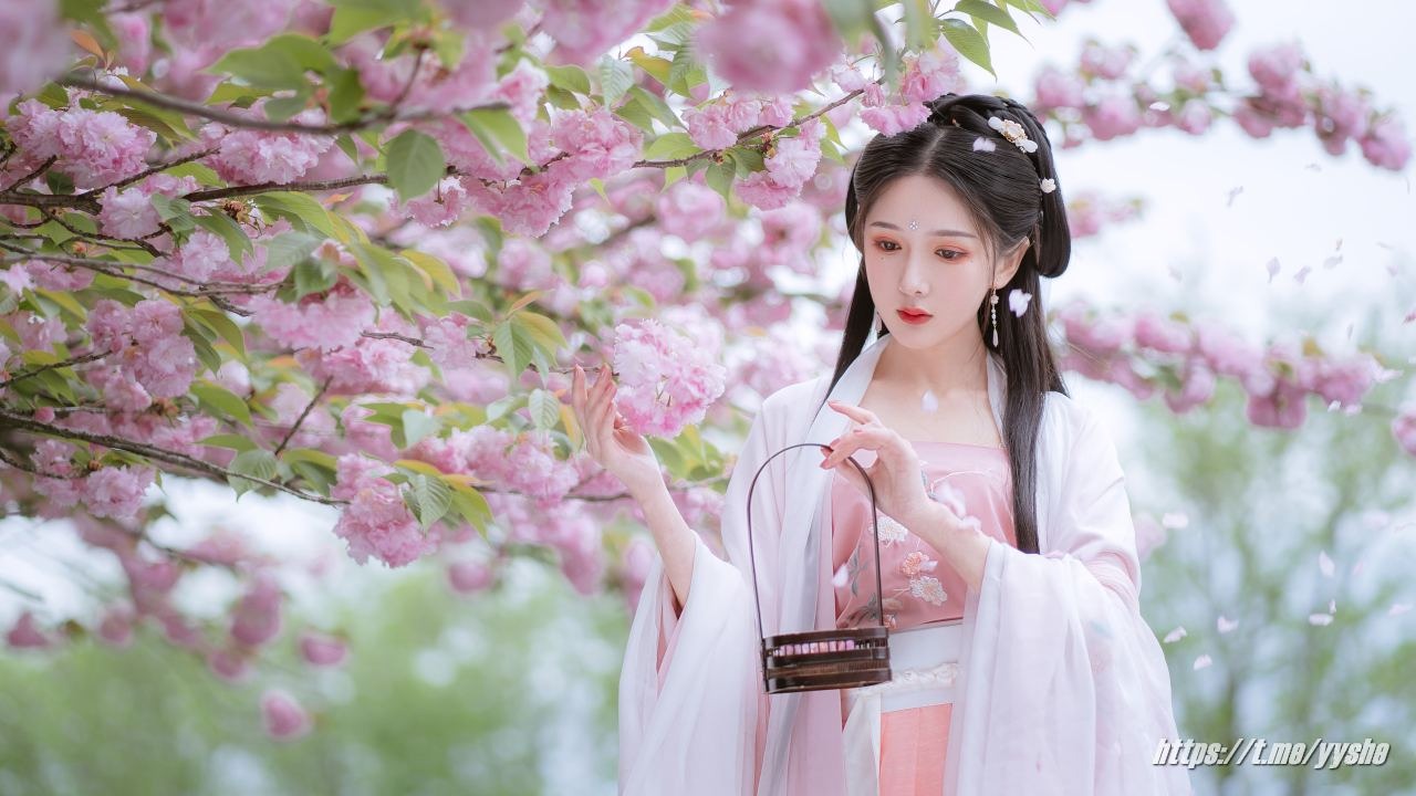 一见倾心五周年4K壁纸 - 国风篇[320P] 5