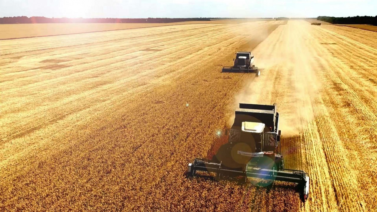 Башкирия рассчитывает увеличить урожай зерна до 4 млн тонн за счет введения в оборот неиспользованный земель
