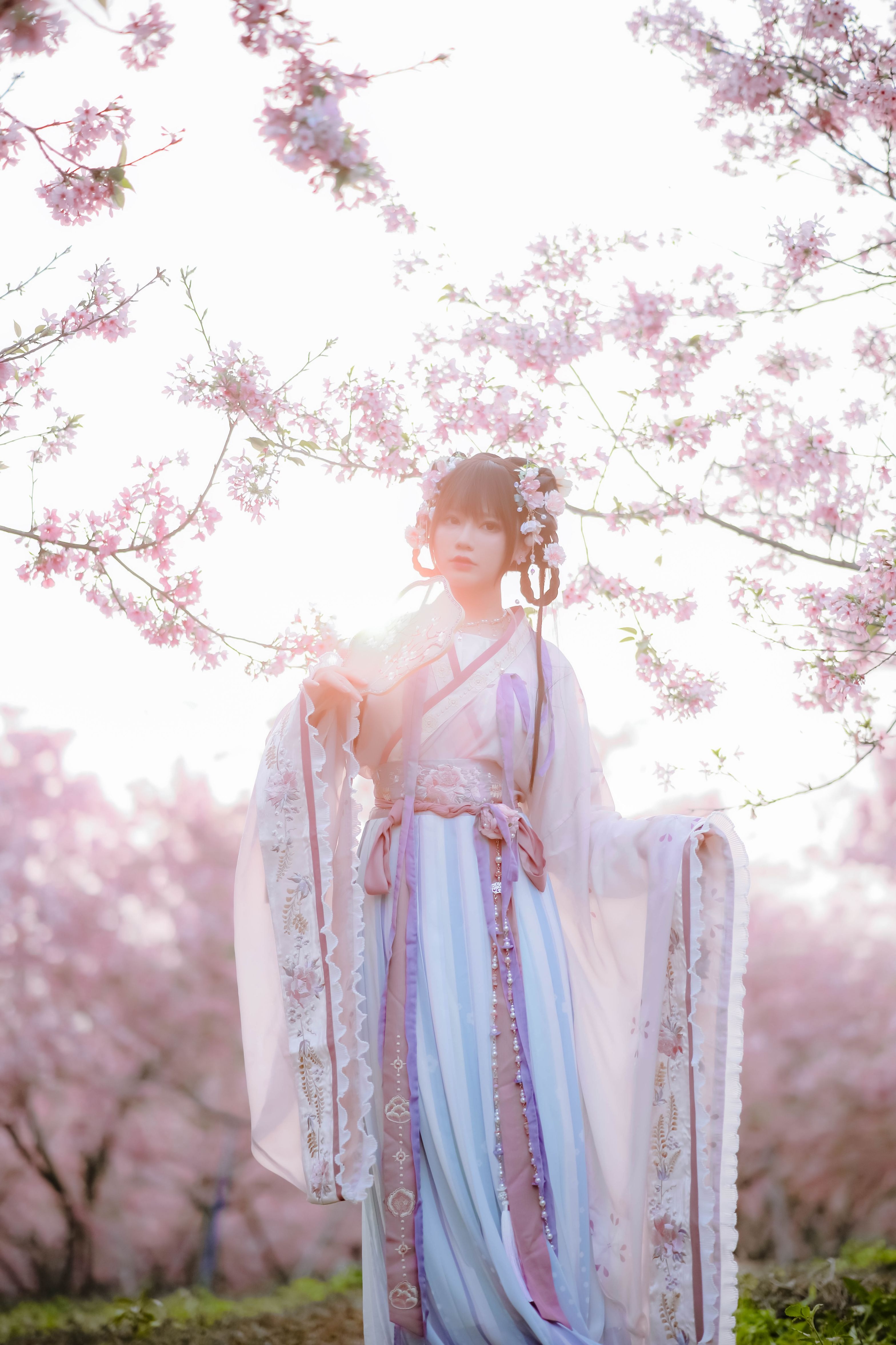 喵子Nyako - 樱花汉服 花神祈愿 [52P-219MB] 40