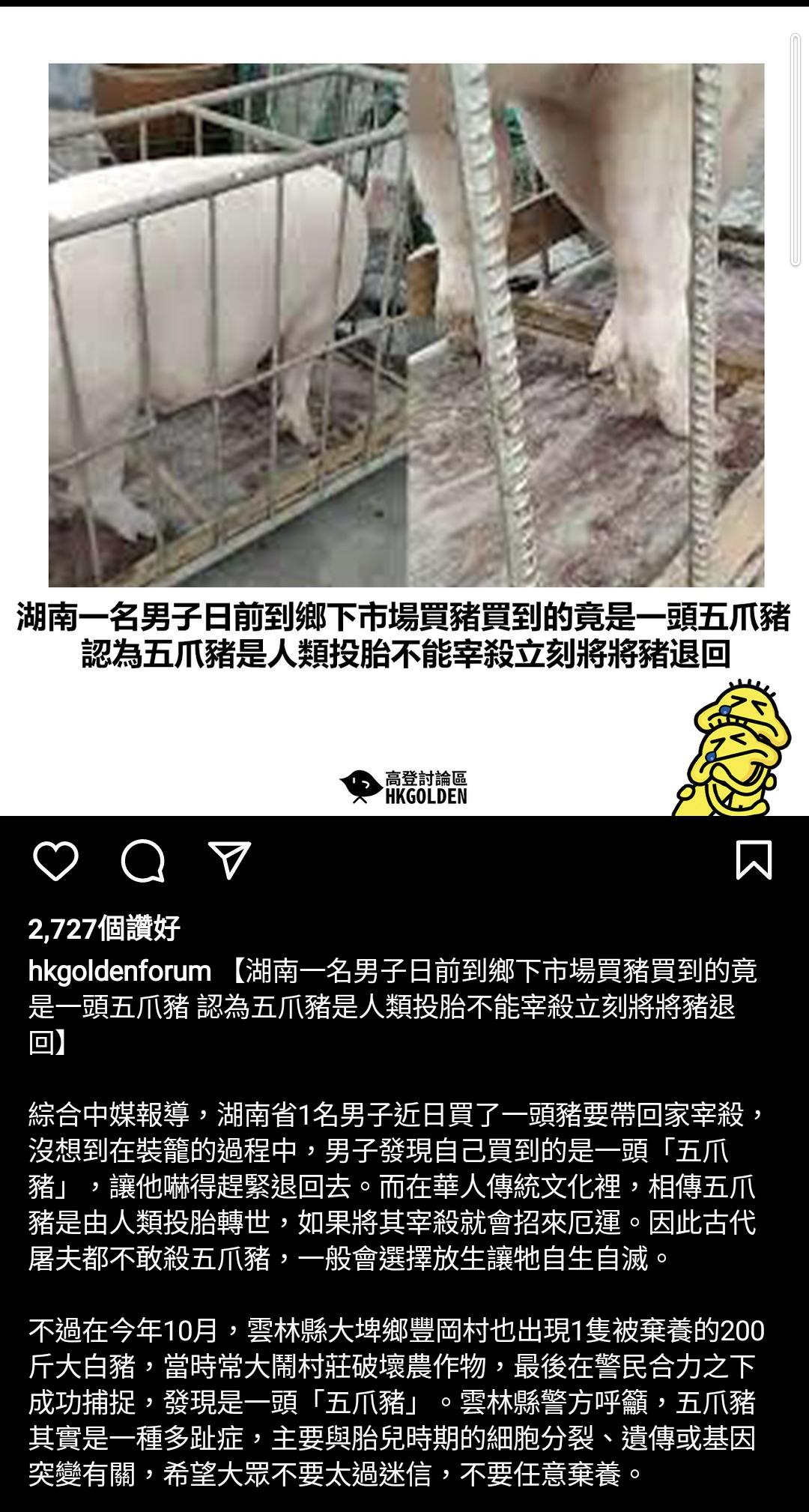 https://telegra.ph/file/883bed00a66107dc33b26.png