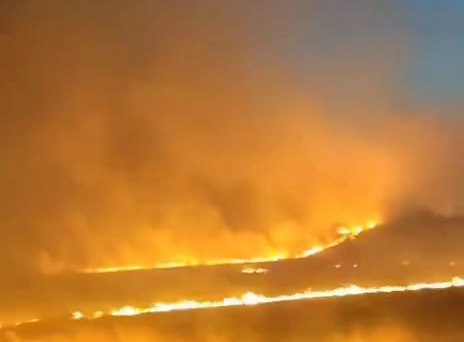 Мощный пожар в Приморье