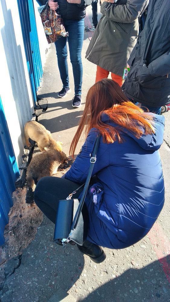 Анал проститутки - лучшее порно видео на belgorod-ladystretch.ru