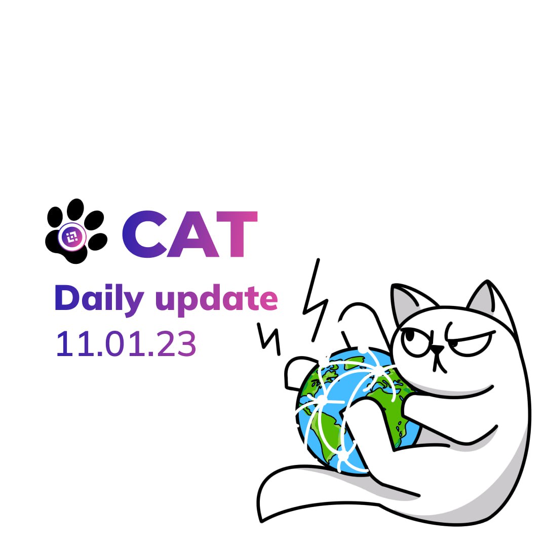 Канал кэт. Кисс Кэт телеграм. Тет Телеканал кет. Daily Cat. Cat channel 91.