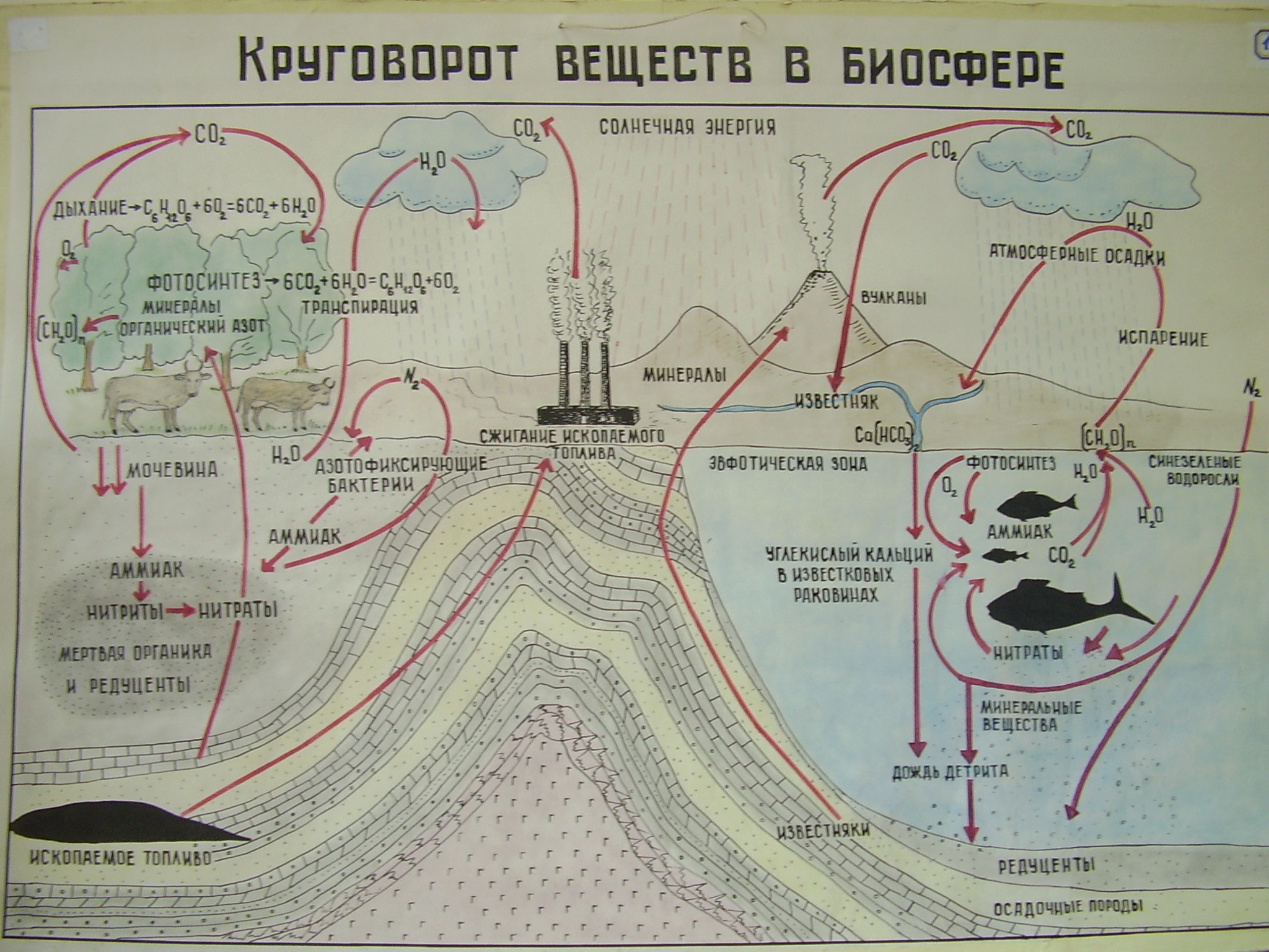 На земле в огромных масштабах осуществляется круговорот. Круговорот веществ в биосфере. Круговорот веществ и энергии в биосфере схема. Круговороты основных элементов в биосфере. Кругооборот веществ в биосфере.