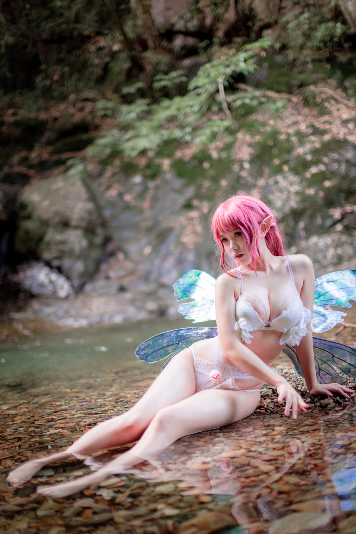 [一北亦北] 花精灵 24