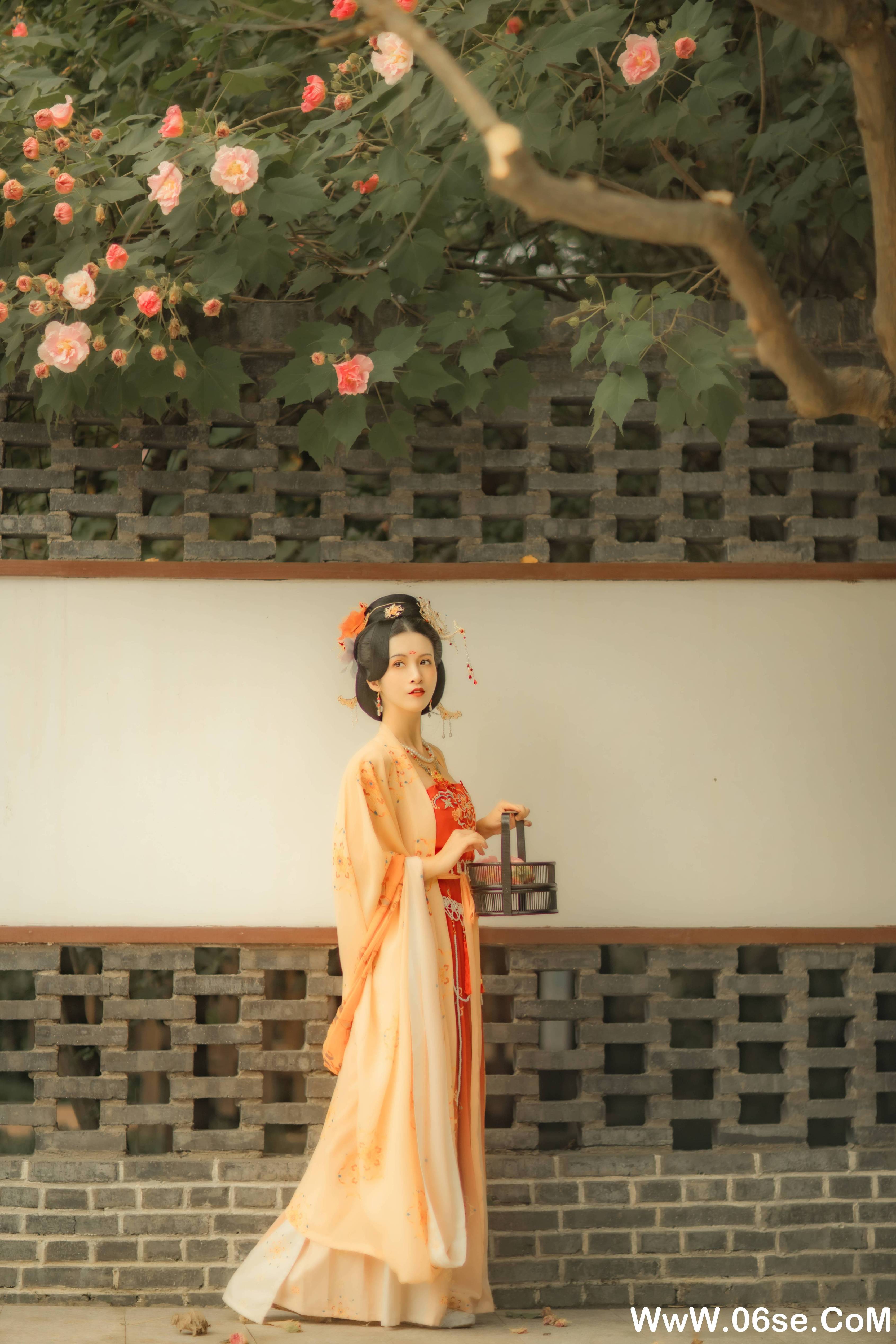 图片[30]-[YITUYU艺图语]2021.11.18 芙蓉词 修水凝花[37+1P／515MB]-六色网