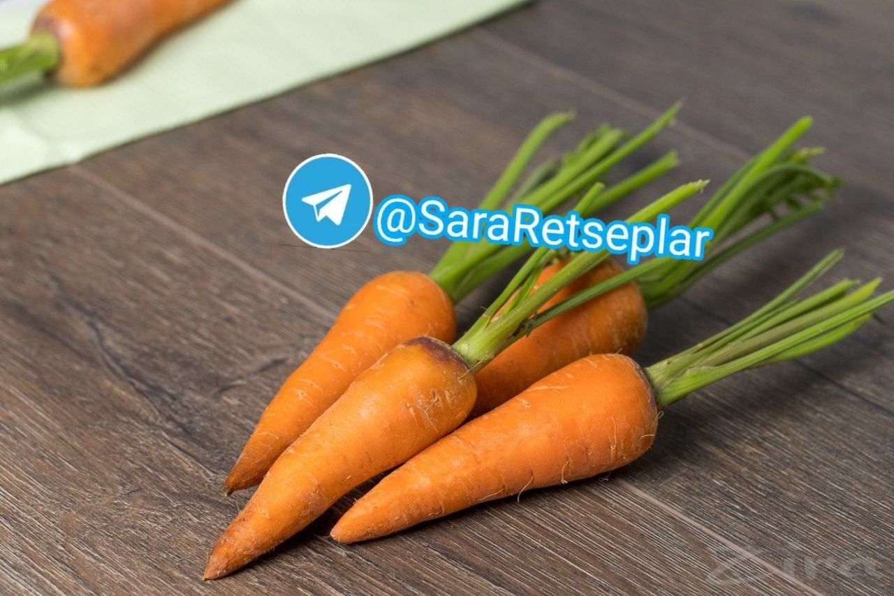 Морковь группа растений. Sabzi. Морковь св 7381. Овощи морковь. Морковь одна.