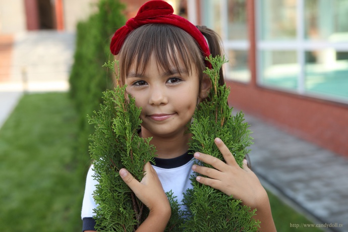[Image: 89212601a671754d3b216.jpg]