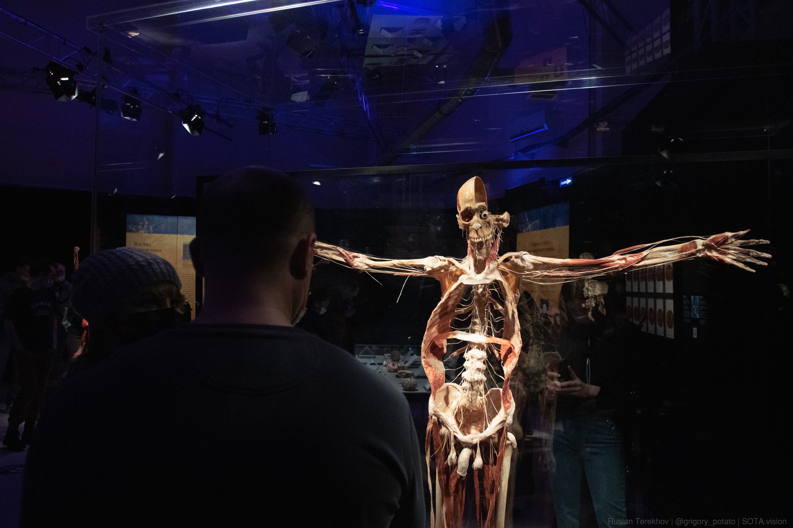 ВДНХ анатомическая выставка Хагенса
