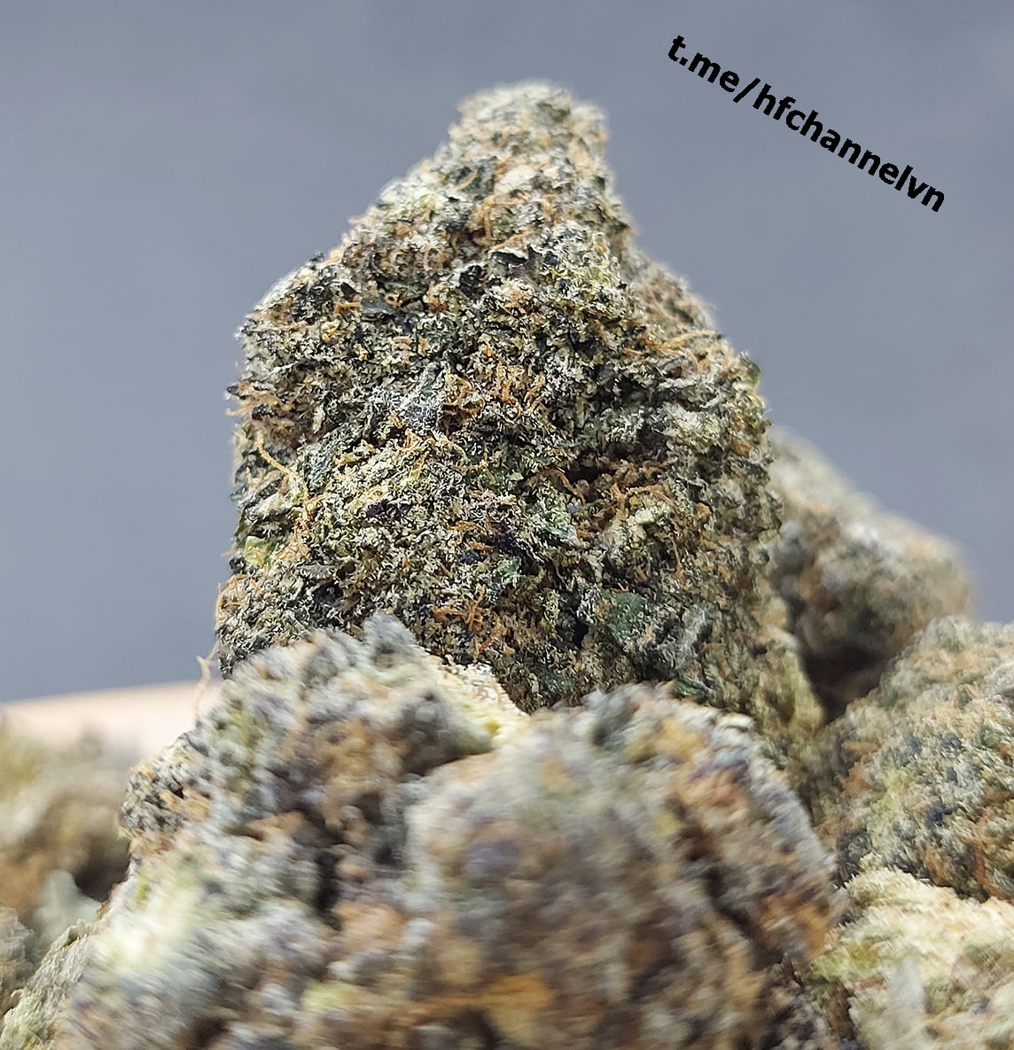 BLACK MAMBA (INDICA/HYBRID) [19.23 THC] Telegraph