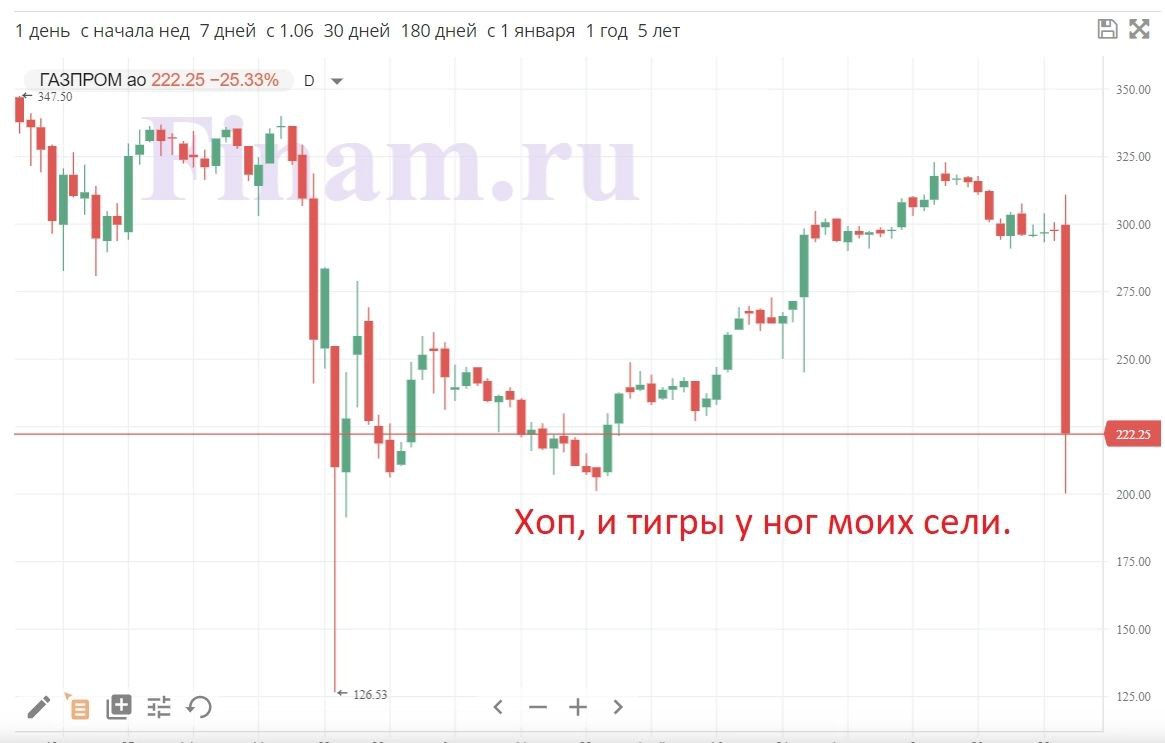 Дивиденды газпрома в 2024. Акции Газпрома. Газпром бумаги. Дивиденды Газпрома по годам. Решение акционеров Газпрома по дивидендам.