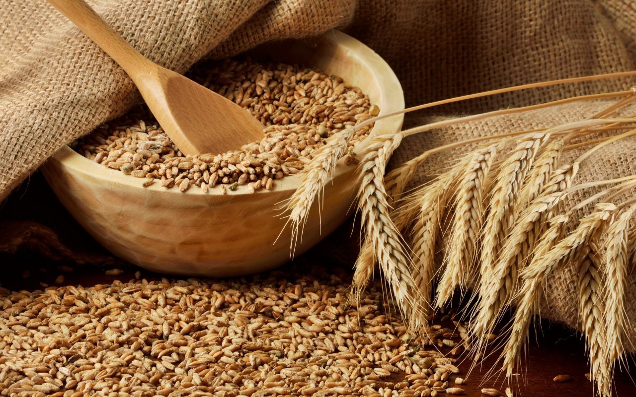 Доля продовольственной пшеницы в урожае 2019 года составляет более 80%