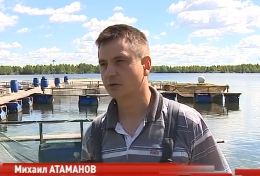В Ярославской области открыто производство по выращиванию балтийского сига