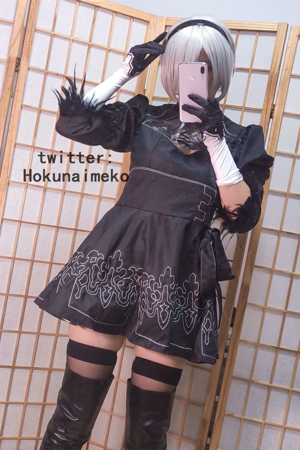 Hokunaimeko-コスプレ自撮りまとめ [136P] 95