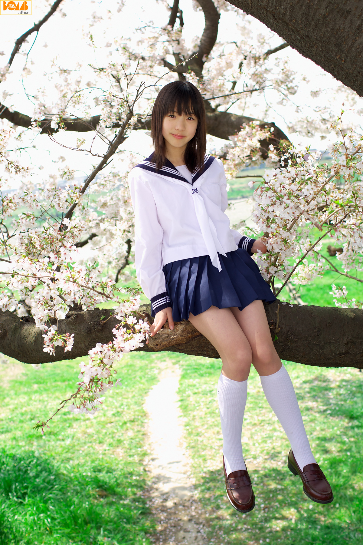 [Image: 8d336732d49a45a75040a.jpg]