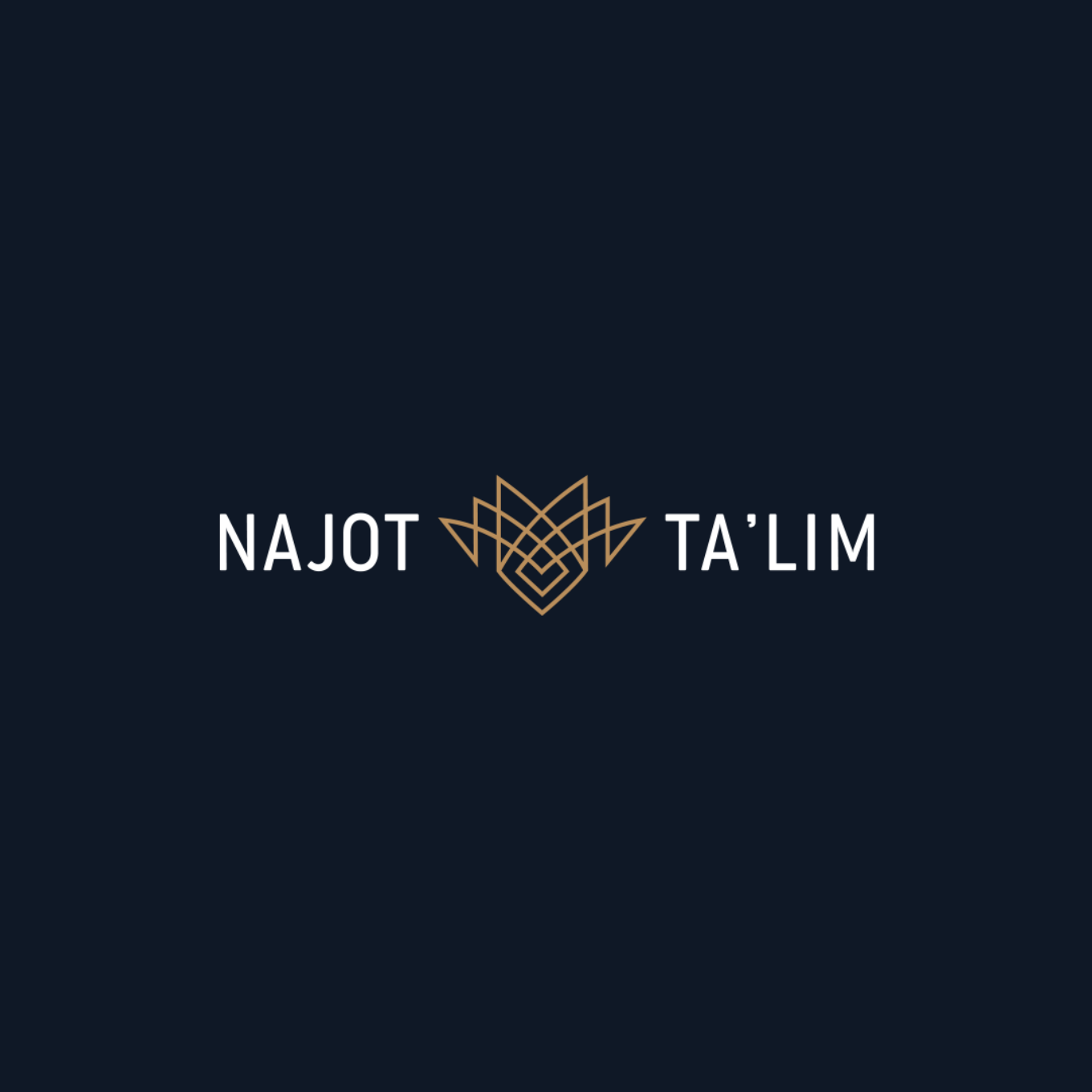 Talim logo. Нажот таълим. Najot ta'Lim. Logotip Najot ta'Lim. Logo Najot.