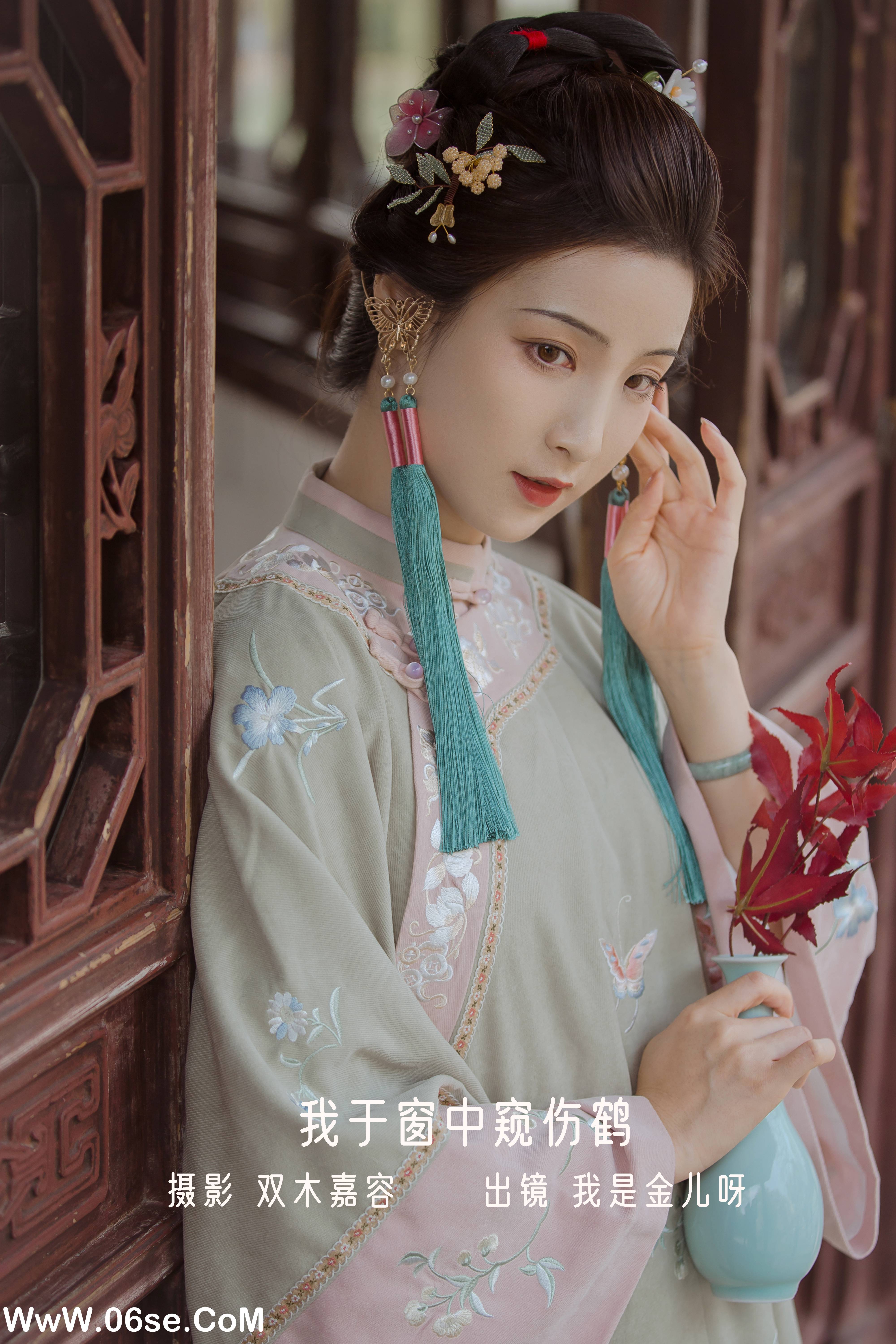 [YITUYU艺图语]2022.12.25 我于窗中窥伤鹤 我是金儿呀[25+1P／162MB]-六色网