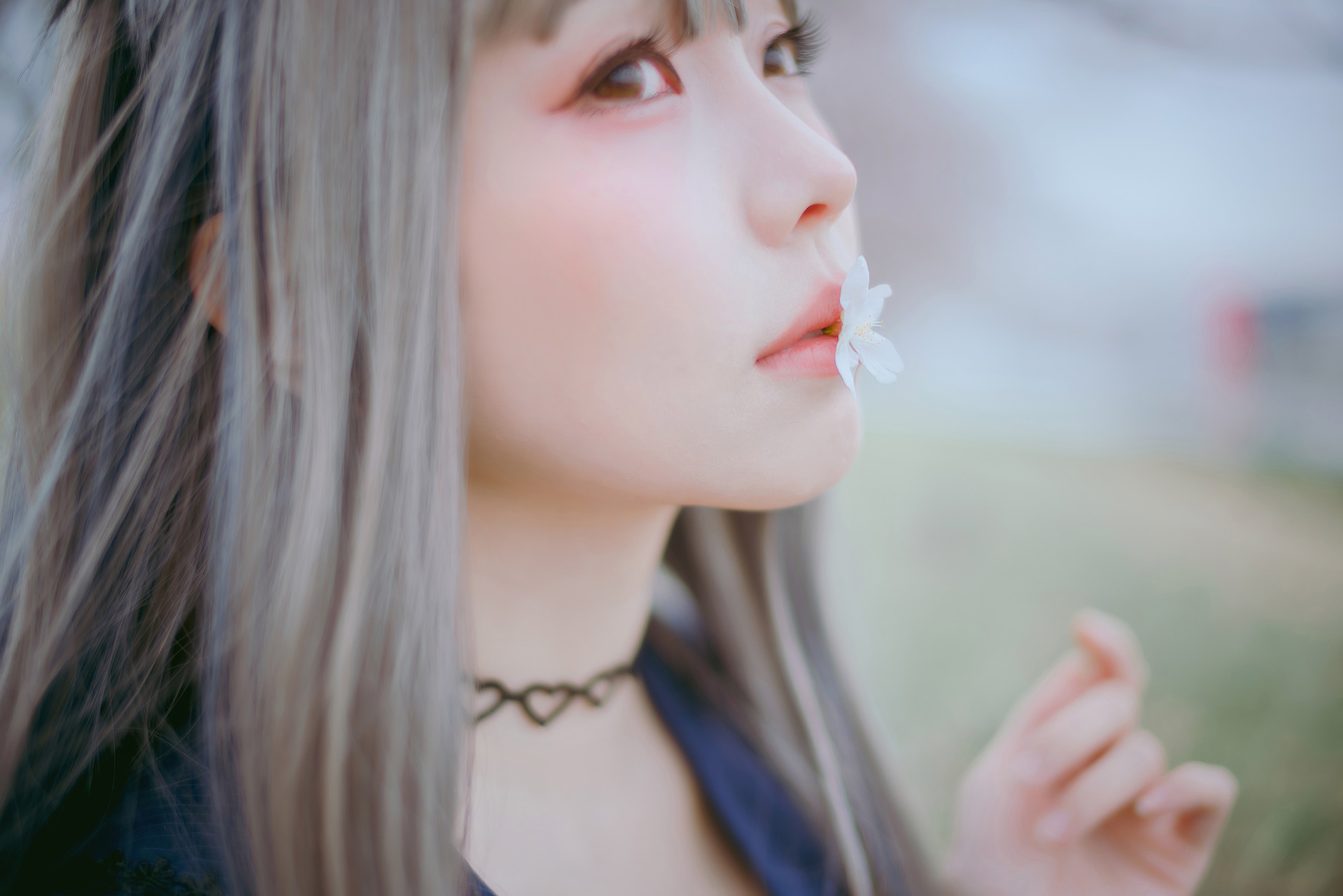[Ely] Sakura桜 2021 Nekomimi Ver. 16