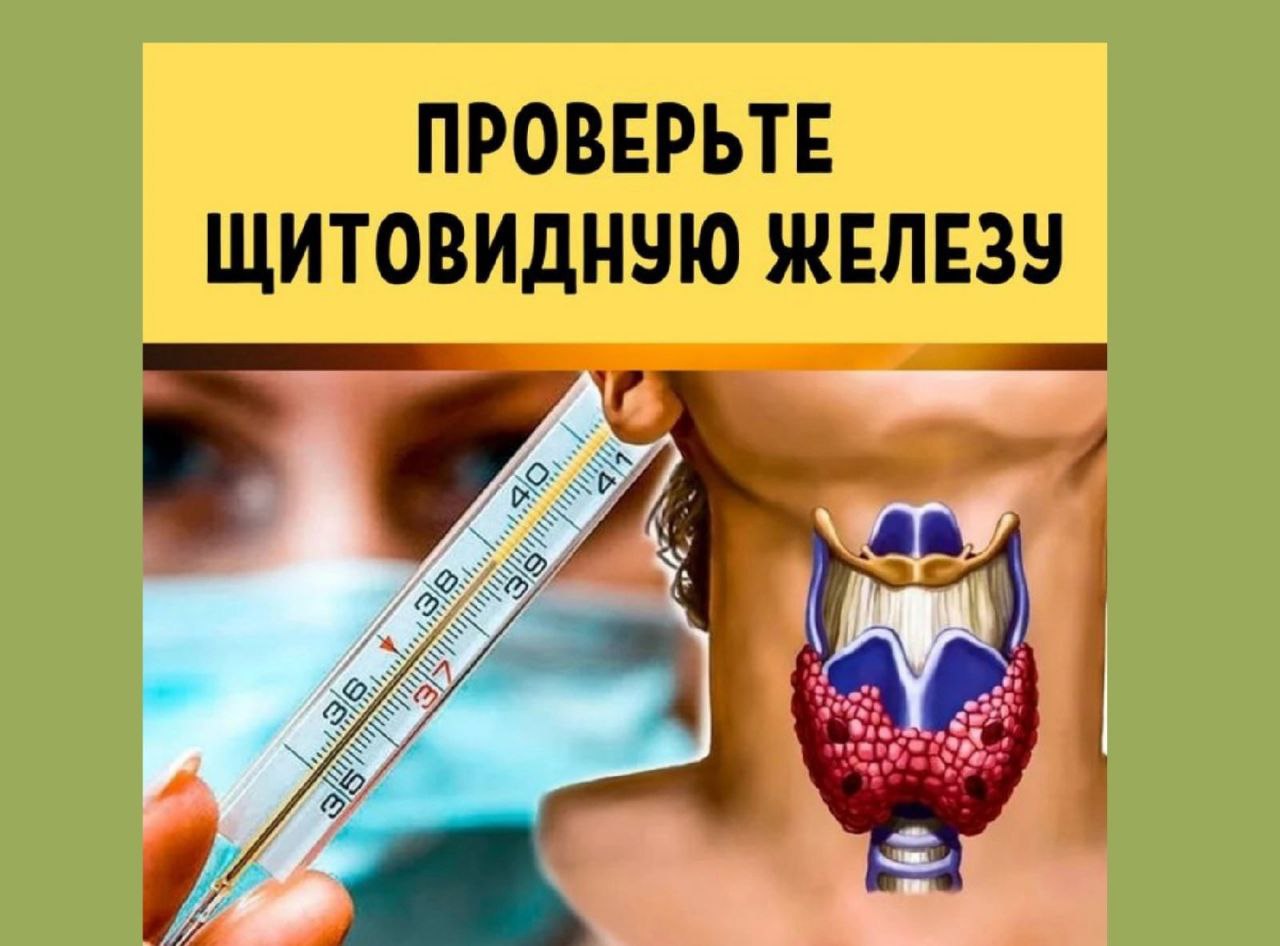 Как проверить щитовидку. Как проверить щитовидку в домашних условиях. Проверить щитовидку градусником. Как проверить щитовидку в домашних условиях у мужчин.