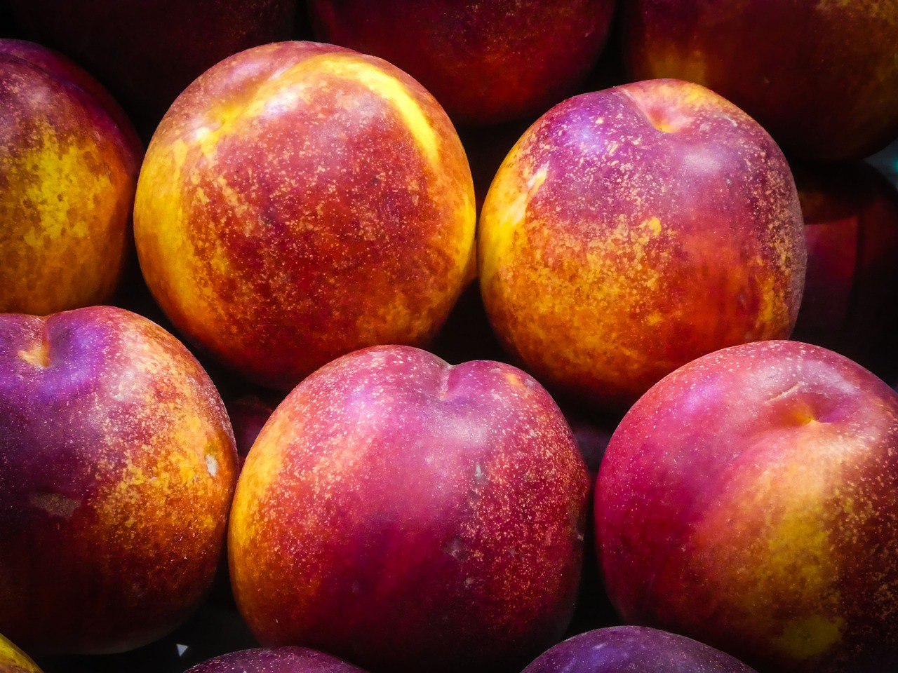 Нектарины в Приморье могут исчезнуть совсем, а цены на фрукты взлетят-импортеры