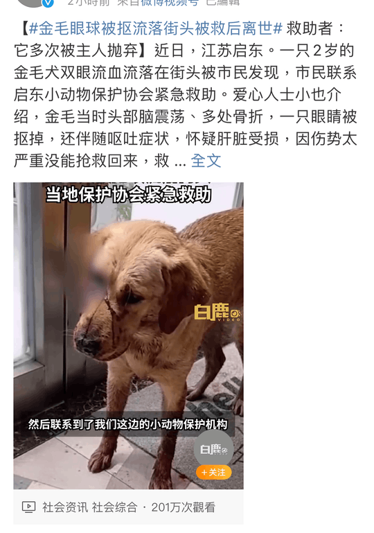 https://telegra.ph/file/8e8329cb143ea7f18513c.png