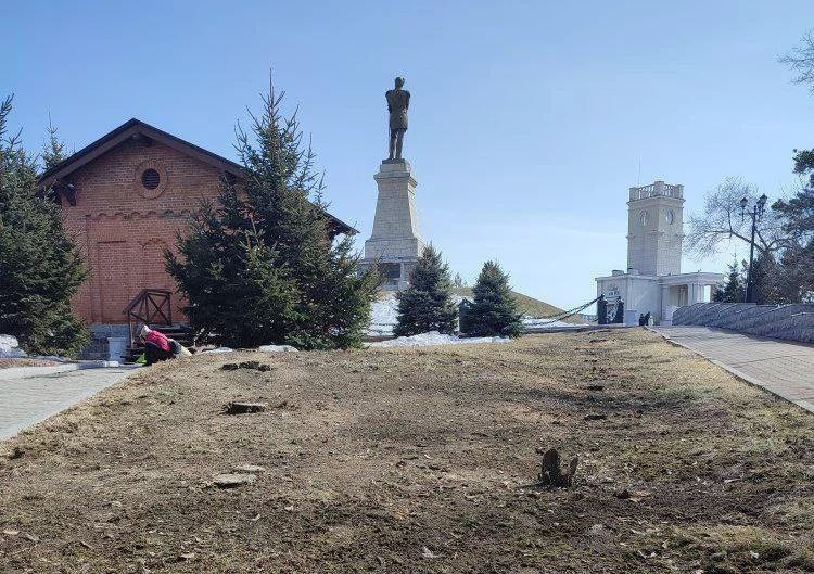 Аллею сирени вырубили у памятника Муравьеву-Амурскому в Хабаровске