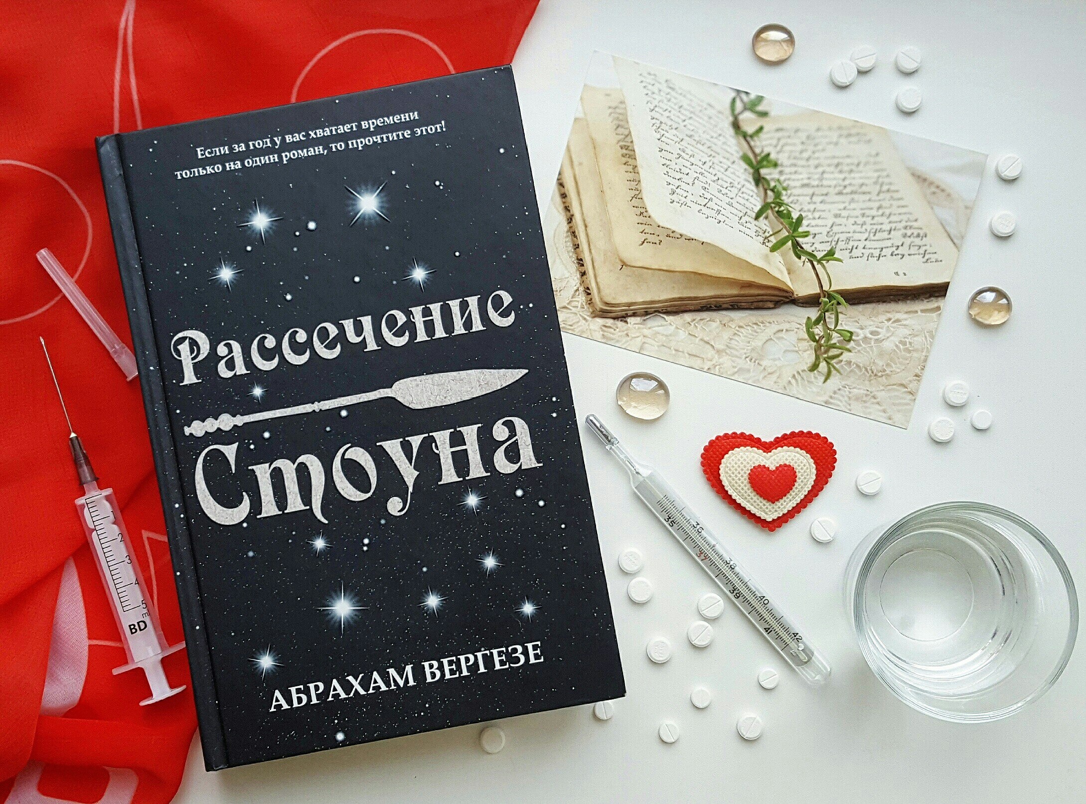 Рассечение Стоуна книга.