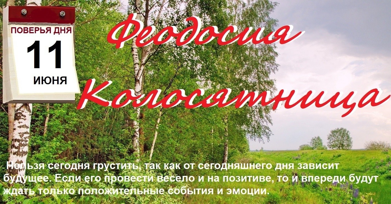 Ярославль 11 июня. 11 Июня календарь. 11 Июня день. Феодосия Колосяница (Гречишница). Феодосия Колосяница 11 июня.