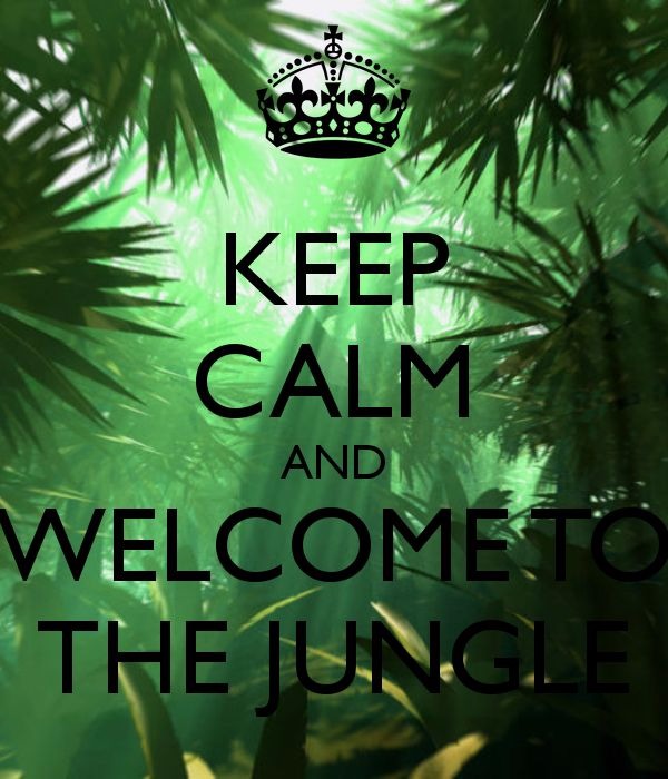 Велком ту джангл. Welcome to the Jungle. Welcome to the Jungle Постер. Велком ту зе Джангл. Картинки Welcome to Jungle.