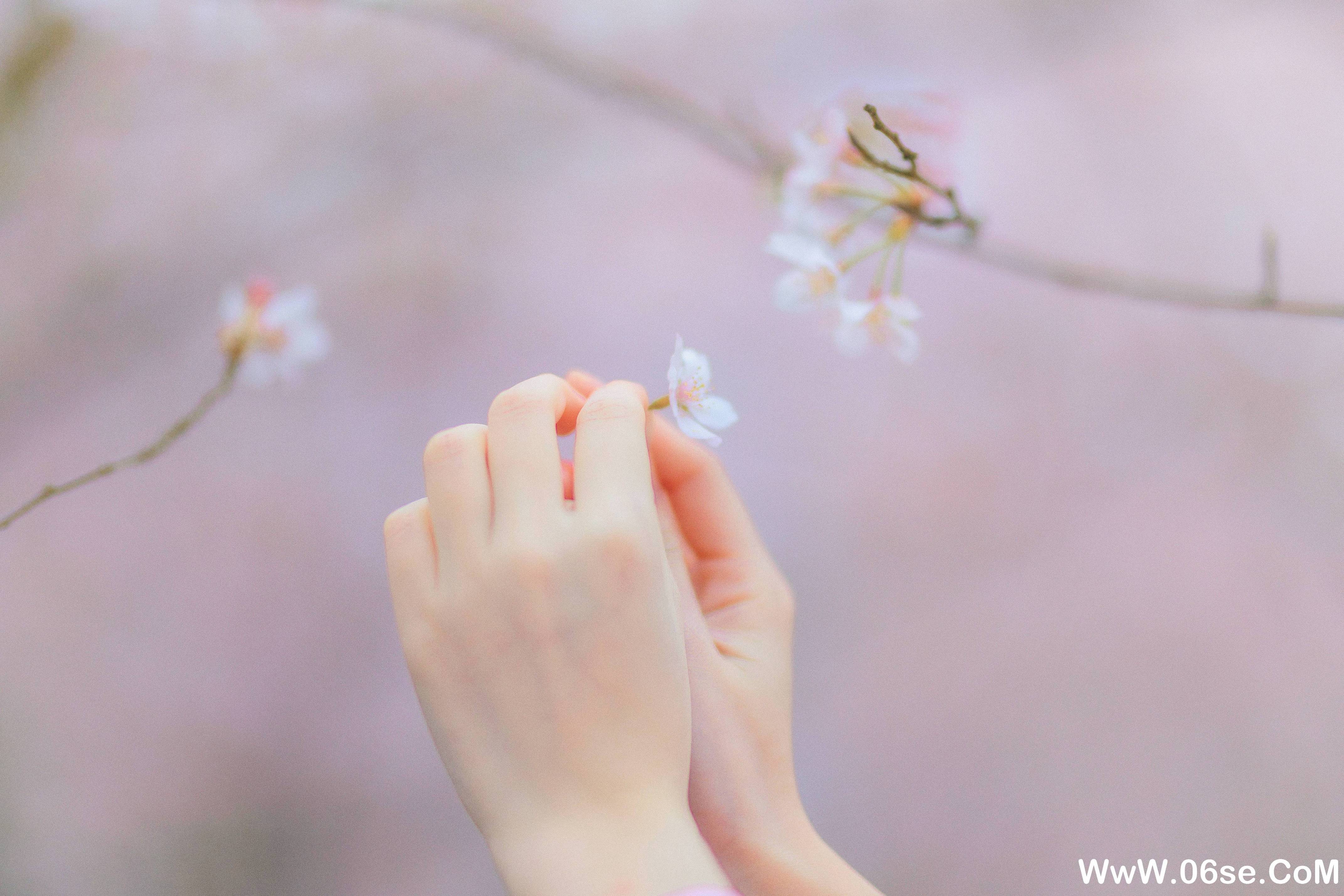 图片[3]-[YITUYU艺图语]2021.08.27 樱の物语 猫夏小卡[33+1P／1.22GB]-六色网
