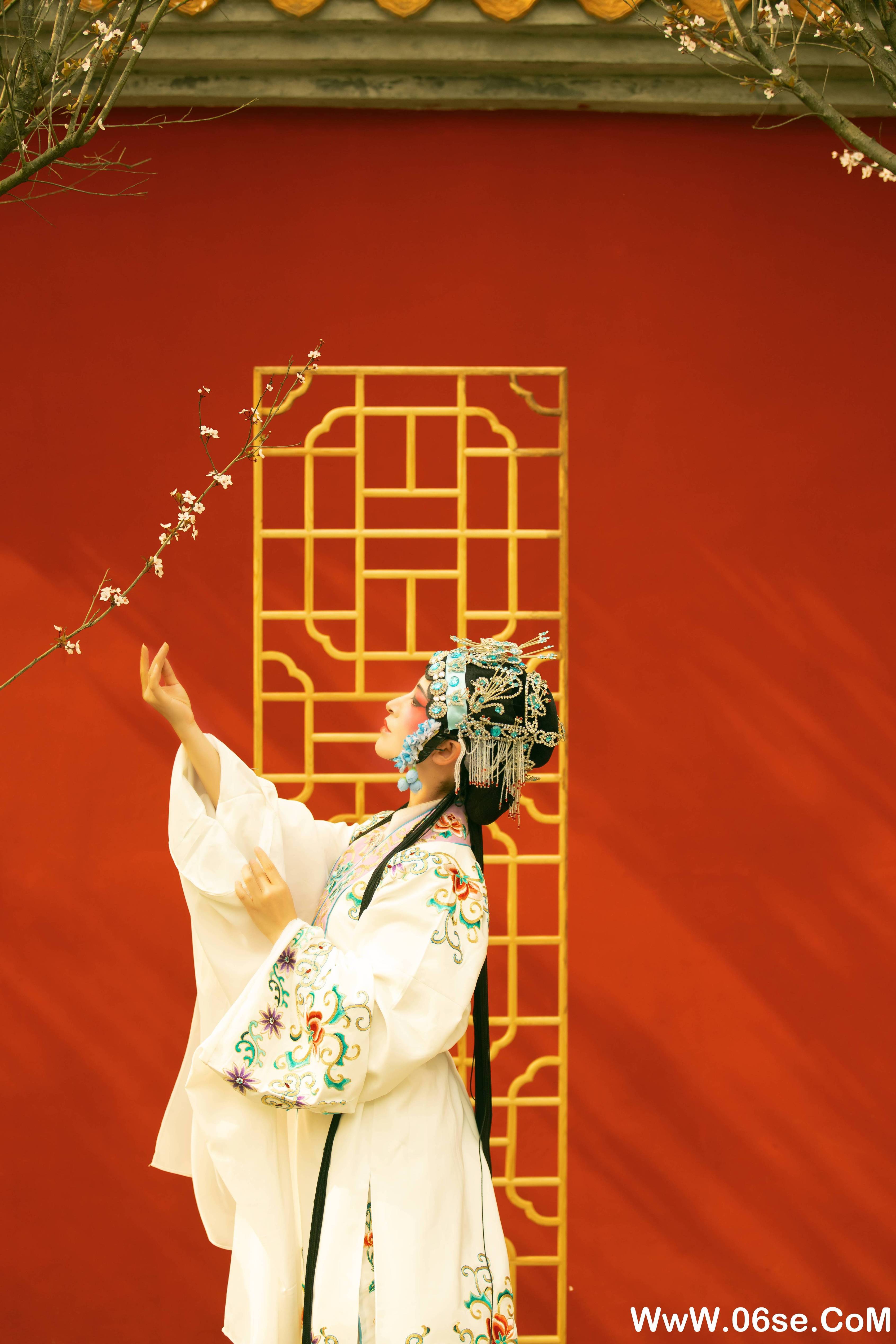 图片[10]-[YITUYU艺图语]2021.12.18 花满枝 修水凝花[22+1P／295MB]-六色网