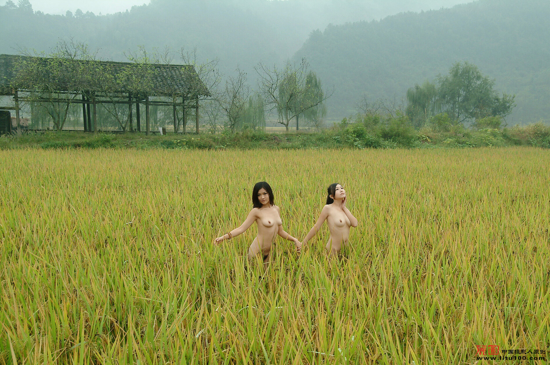 [LITU100丽图] 2007.10.13 静雨 Vol.04 丽图写真 人体美媚馆 19