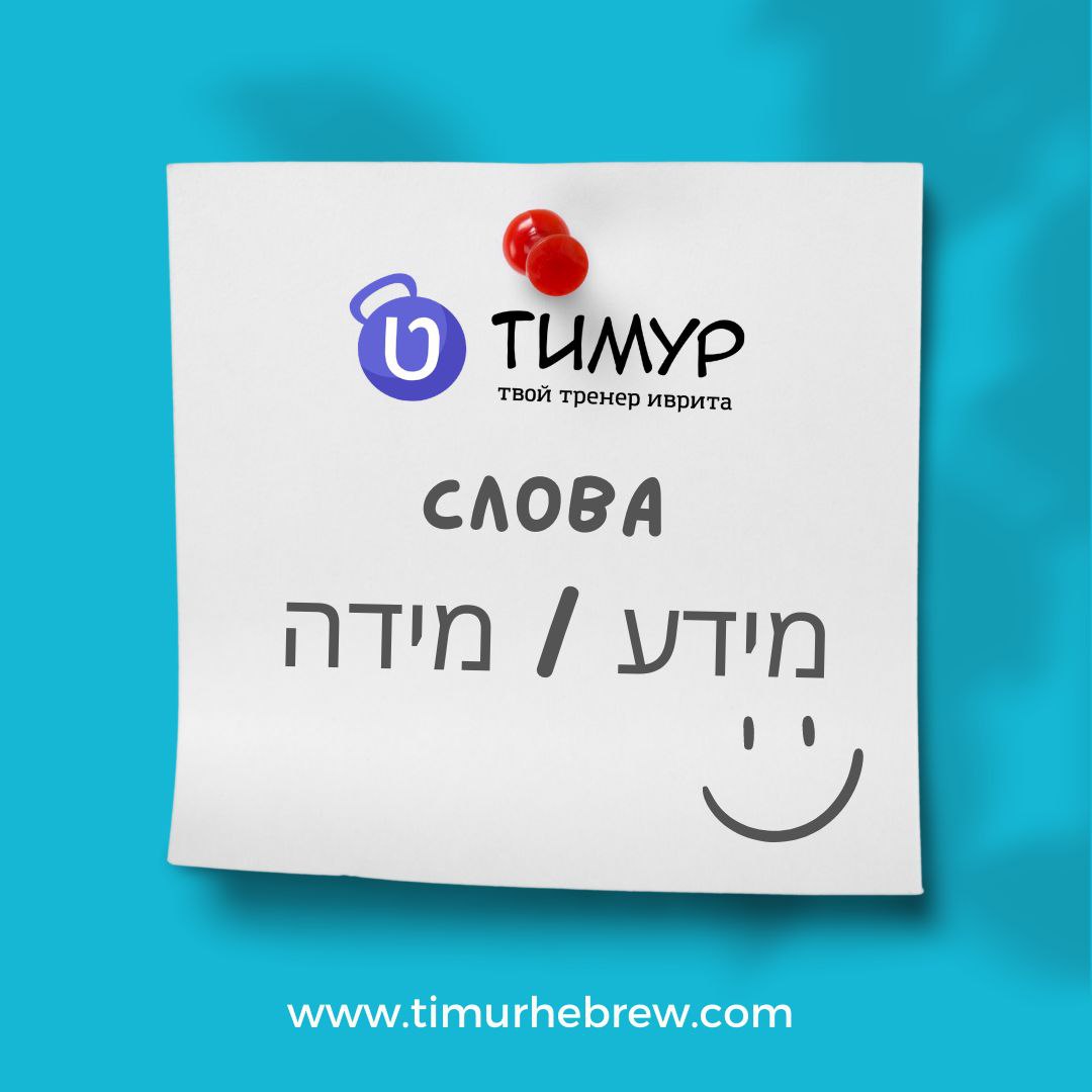 Иврит с Тимуром | Израиль 🇮🇱 – Telegram